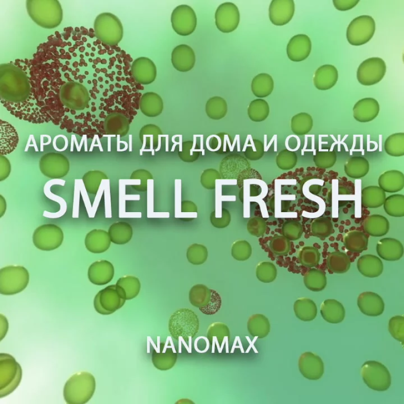 Купити спрей від запахів SMELL FRESH 100 ml