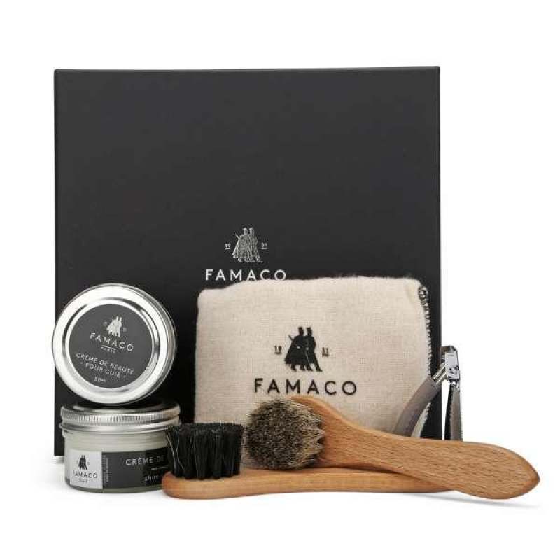 Набір засобів для догляду за взуттям Famaco Box XS, 6 предметів