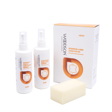 Набір засобів за взуттям