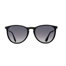 Жіночі сонцезахисні окуляри в стилі Ray Ban Erika 4171 black LUX